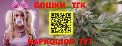дмт Камышлов