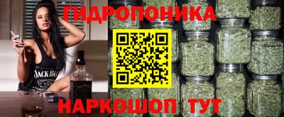 соль ск Канаш