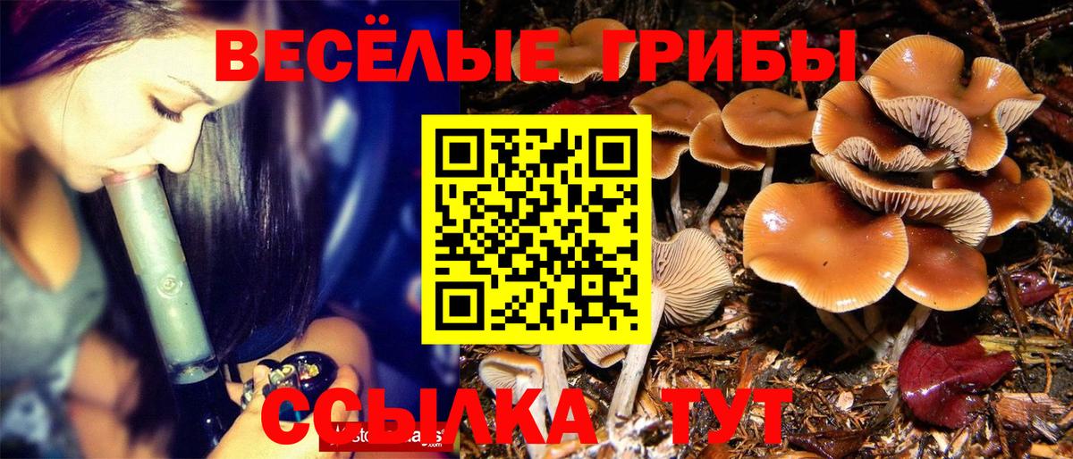 Галлюциногенные грибы Magic Shrooms Лыткарино